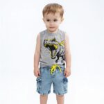 Conjunto Dinossauro